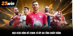 Mẹo cược bóng rổ